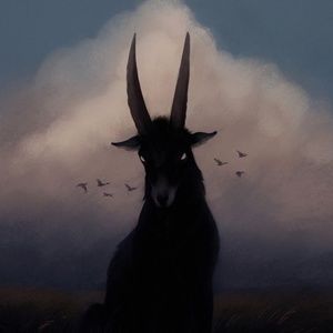 Meet your Posher, Kayce